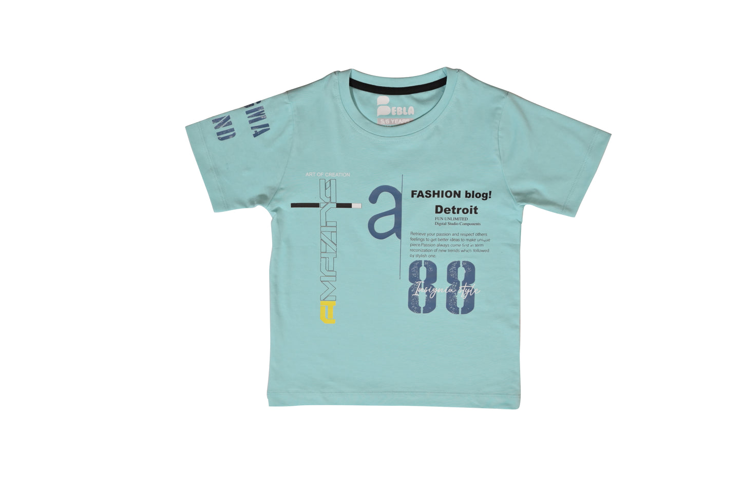 Hazy Blue Printed Casual Boys Regular Fit T-Shirt with Half Sleeves